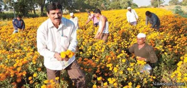 عجیب ترین روستاهای جهان را ببینید روستای هند