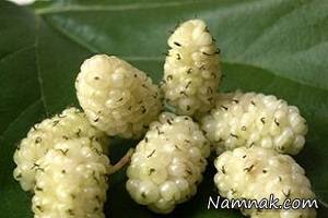 ماده غذایی که بهتر است خام مصرف شود ماده غذایی