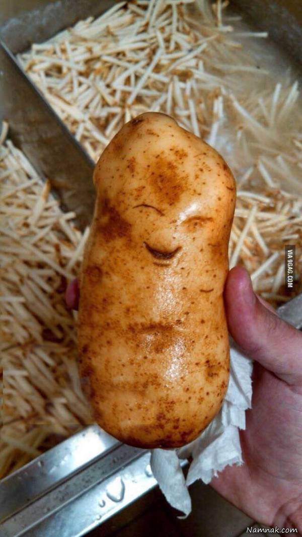 عکس های خنده دار