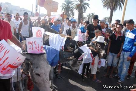 راهپیمایی اعتراضی با الاغ الاغ سواری