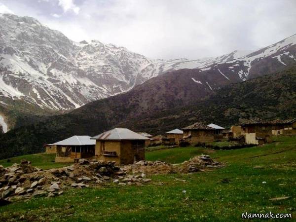 جنگل دوهزار