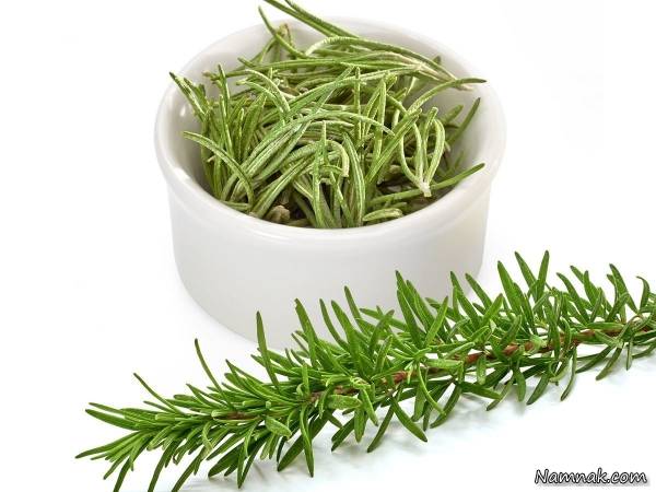 اخلاق آقایان