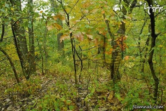 مرد نامرئی که در هرچیزی پنهان می شود مرد نامرئی