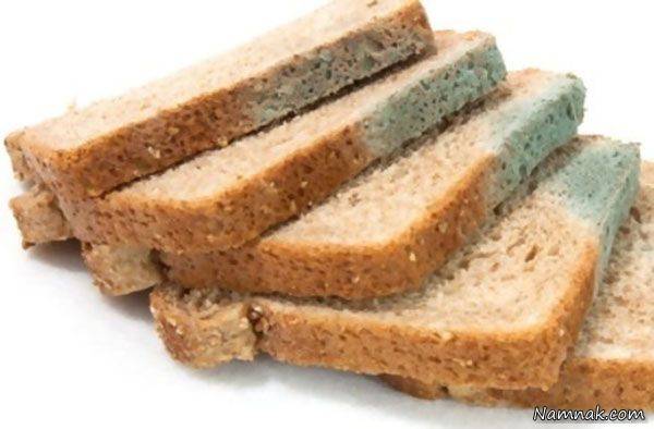 غذای کپک زده