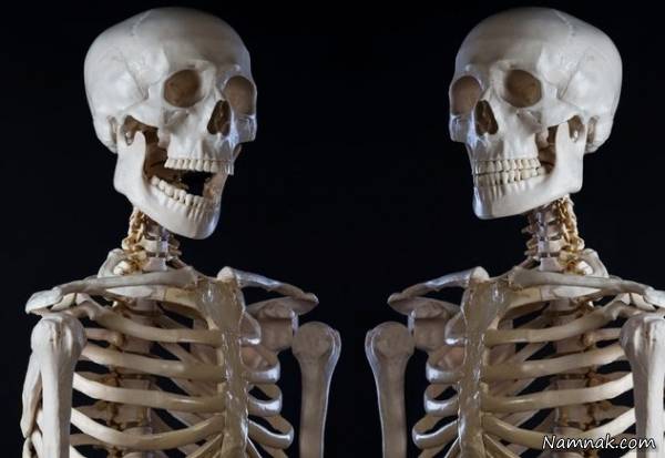 حراج بدن انسان