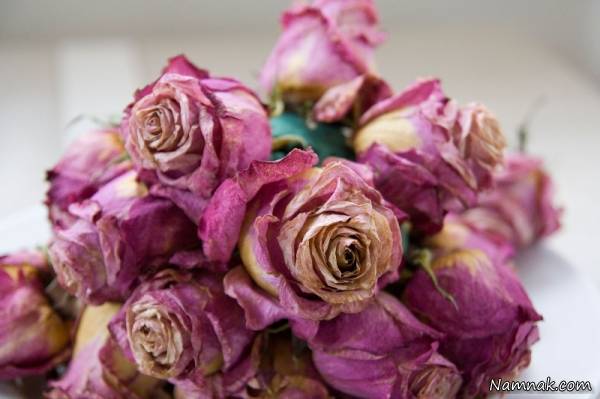 انواع روش ها و ترفندها برای خشک کردن گل خشک کردن گل