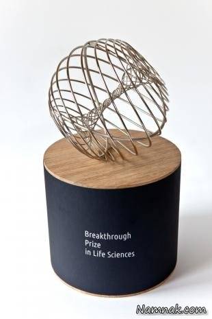 جوایز جشنواره