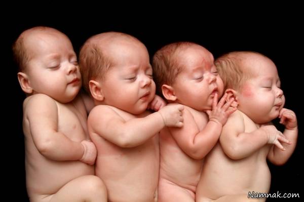 عوامل چند قلوزایی علت چند قلوزایی درنازاها