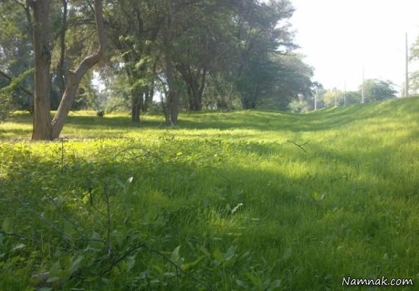 روستای چاهکوتاه