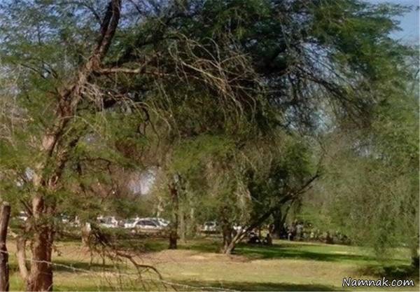 آب وهوای چاهکوتاه