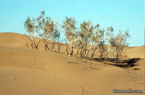  مثلث برمودای ایران