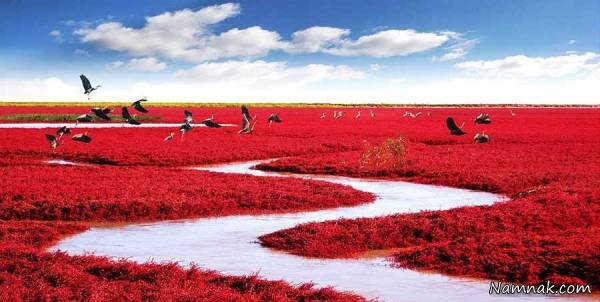 جاذبه های دیدنی که غیر قابل دسترس هستند جاذبه های دیدنی