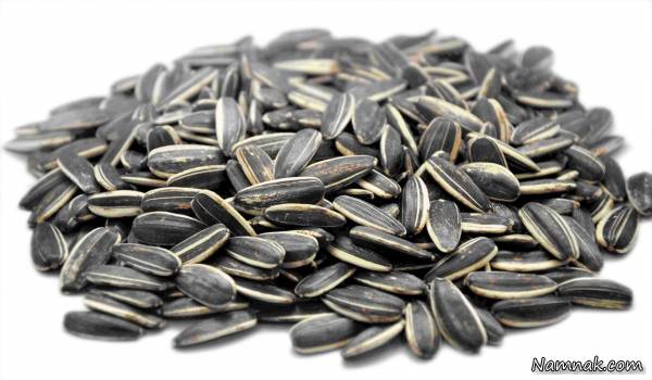 تخمه آفتابگردان 