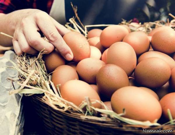 آیا تخم مرغ قهوه ای و سفید با هم تفاوت دارند؟ تخم مرغ قهوه ای و سفید