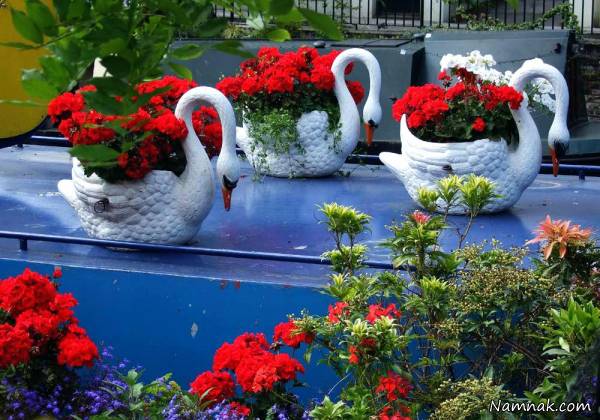 گل خانه های خانگی زیبا