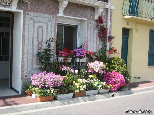 گلخانه های خانگی 
