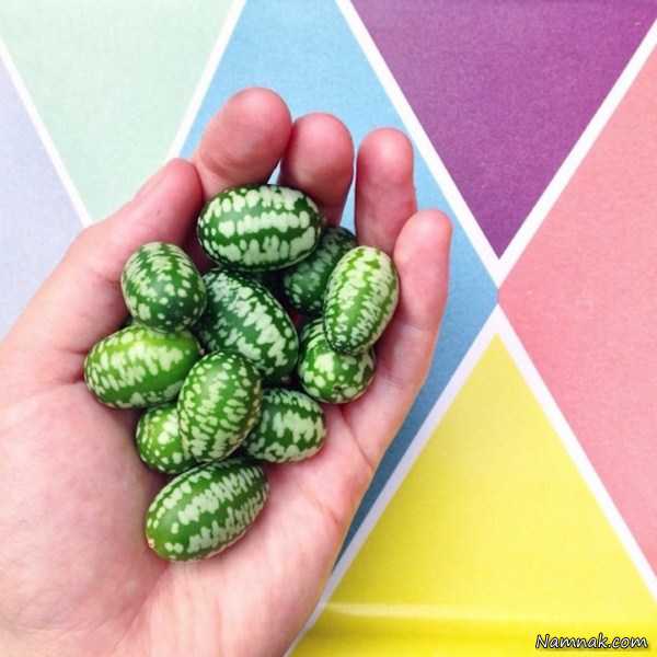 میوه پیوندی جدید