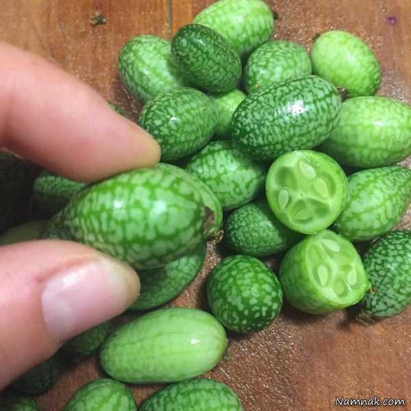 میوه پیوندی