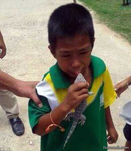 مارمولک وحشی