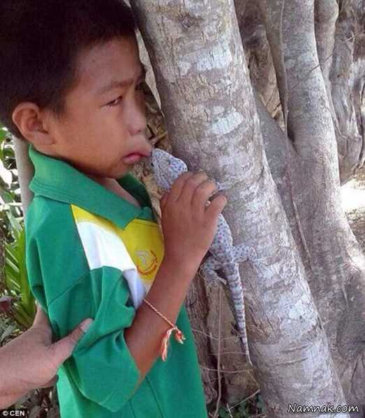 مارمولک وحشی