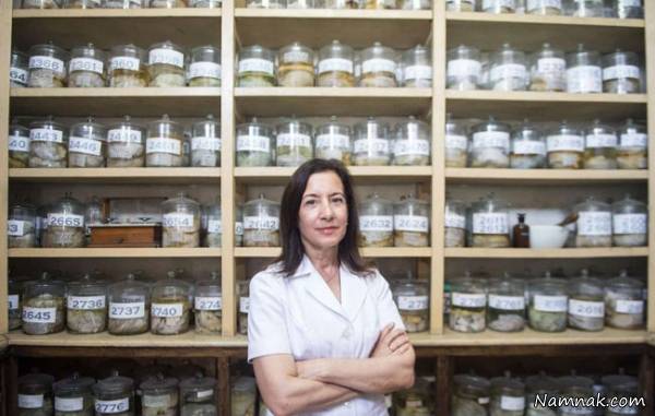 موزه ناهنجاری مغز