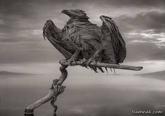 دریاچه نطرون