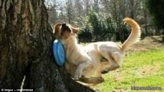 عکس های دیدنی یک لحظه قبل از وقوع حادثه عکس های دیدنی