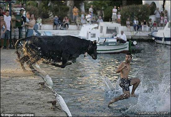 عکس های دیدنی یک لحظه قبل از وقوع حادثه عکس های دیدنی