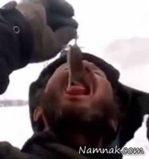 خوردن موش زنده