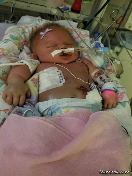 بوسیدن نوزاد