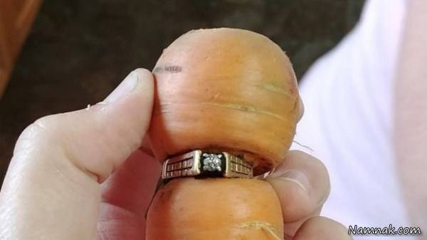 انگشتر گم شده دور هویج انگشتر گم شده