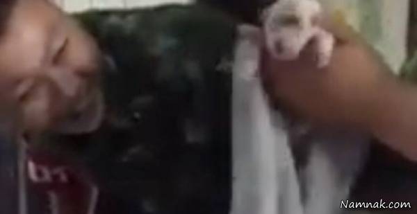 نجات توله سگ