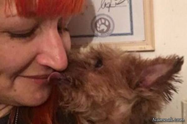 ازدواج با سگ