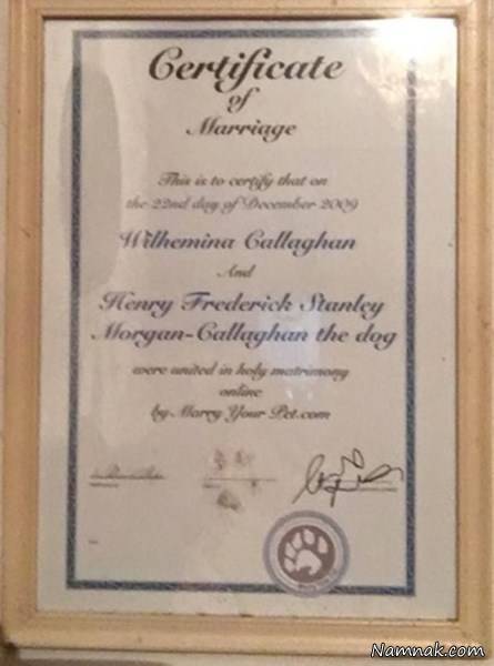 ازدواج با سگ