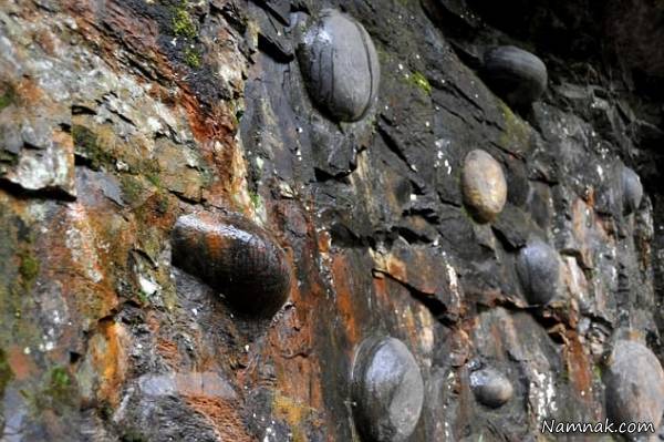 سنگ تخم گذار