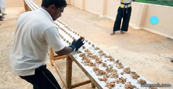 شکستن گردو با دست 