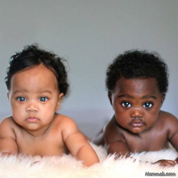 دوقلوهای شبیه