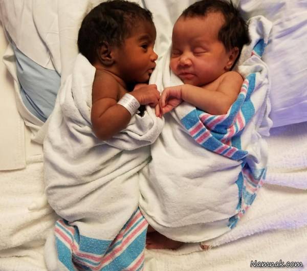 دوقلوهای شبیه