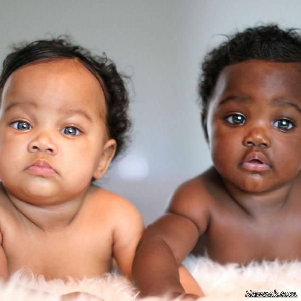 دوقلوهای شبیه