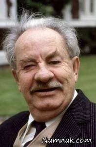 شخصیت شناسی مدل بینی