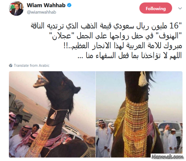 عروسی شتر