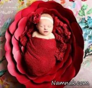 عکس نوزاد قنداقی