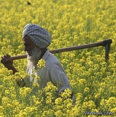 پیرمرد 109 ساله 