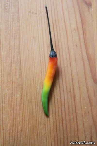 خوردنی و خوراکی زیبا وخوشگل