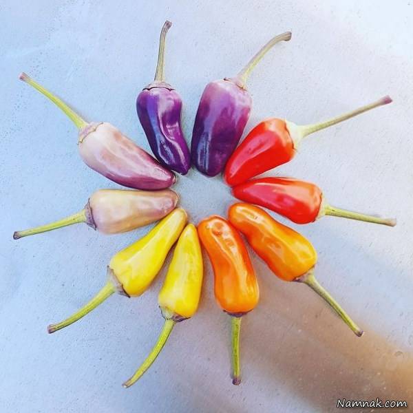 خوردنی و خوراکی زیبا وخوشگل