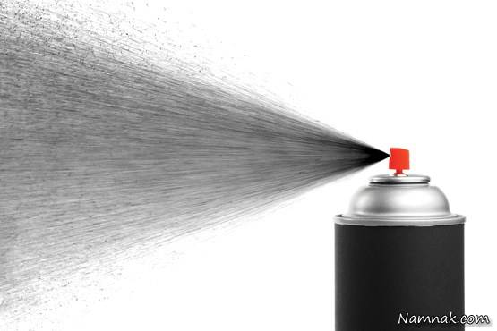 نابودی سوسک خانه سوسک خانه