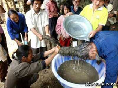 کثیف ترین موی دنیا