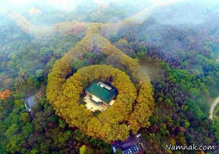 کاخ چین کاخ زمرد