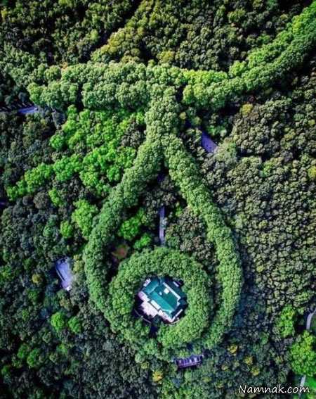 کاخ چین کاخ زمرد