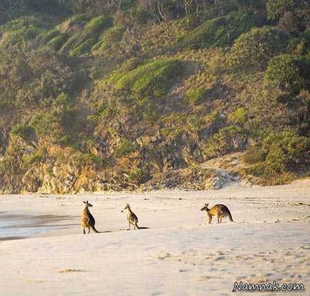 سفر در بهار